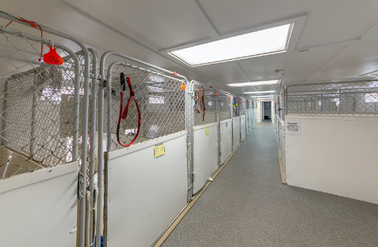 Inside of kennels