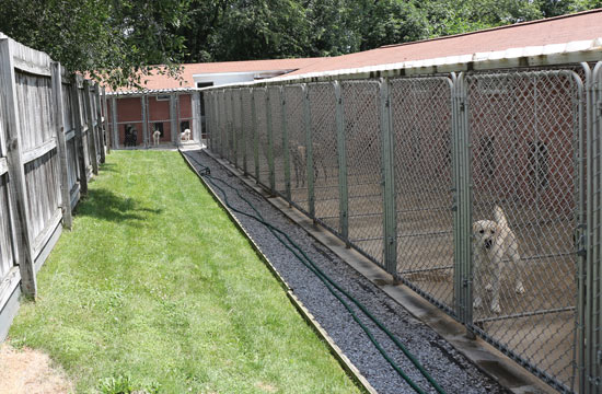 Outdoor kennel area at Tan-Zar Kennels in Pittsburgh PA